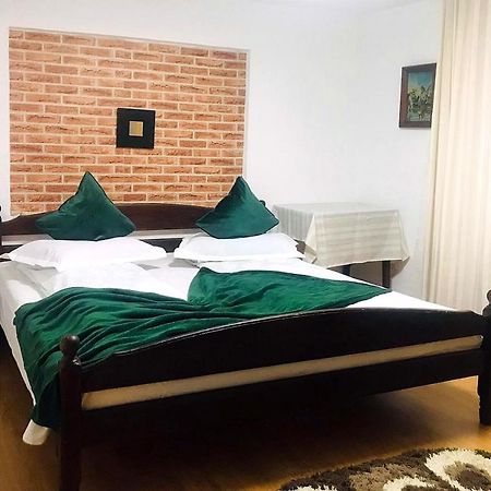 Apartament Sarco Βίλα Vatra Dornei Εξωτερικό φωτογραφία