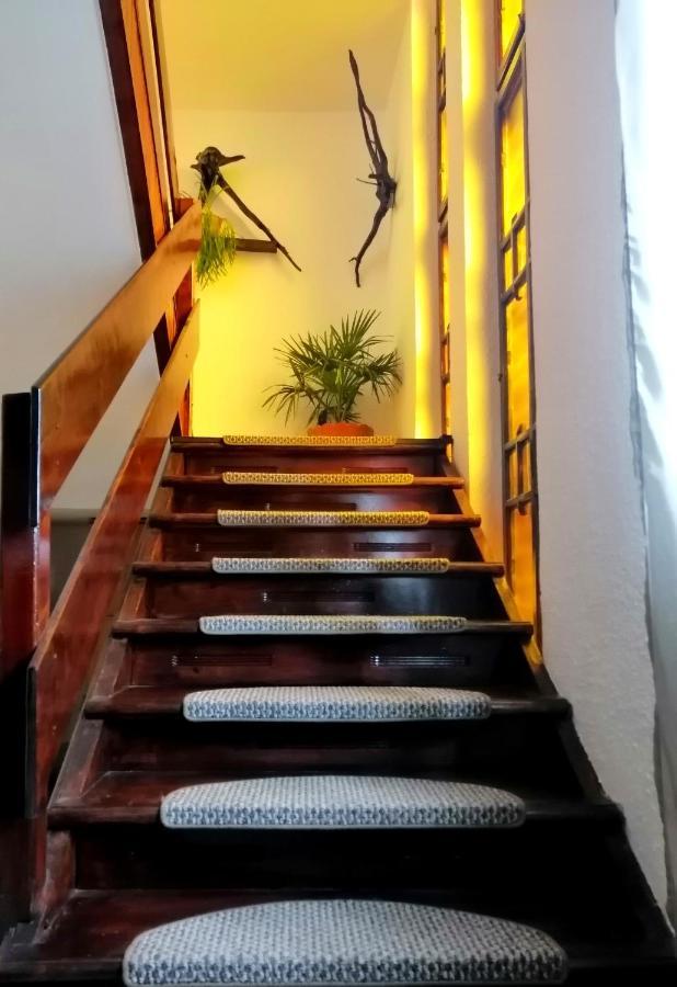 Apartament Sarco Βίλα Vatra Dornei Εξωτερικό φωτογραφία