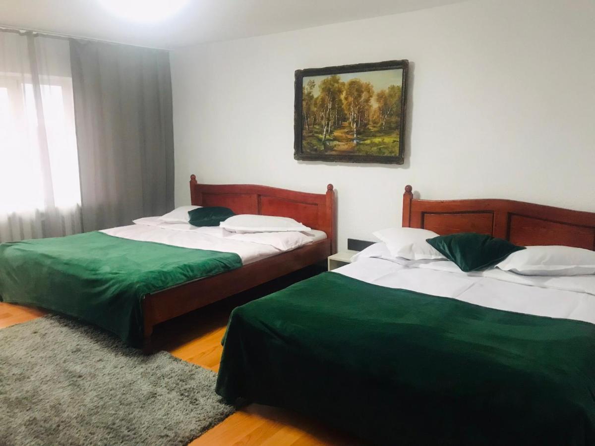 Apartament Sarco Βίλα Vatra Dornei Εξωτερικό φωτογραφία